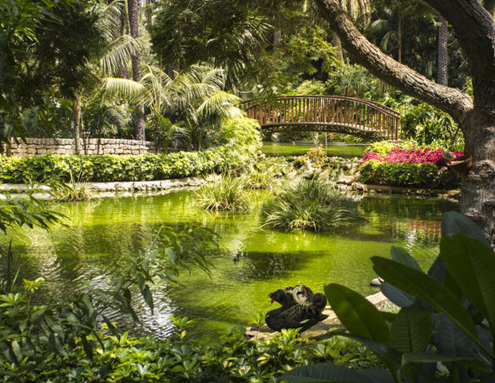 Hôtel Botánico & The Oriental Spa Garden - Jardin botanique