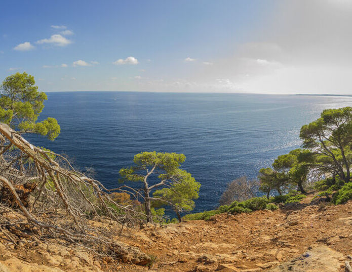 Hipotels Eurotel Punta Rotja - Majorque