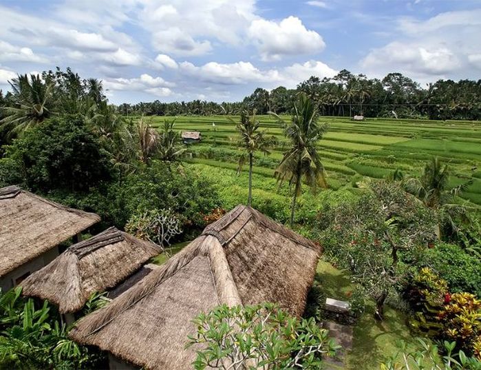 Combiné Maya Ubud Resort & Spa - Maya Sanur Resort & Spa - Rizieres aux alentours du maya ubud