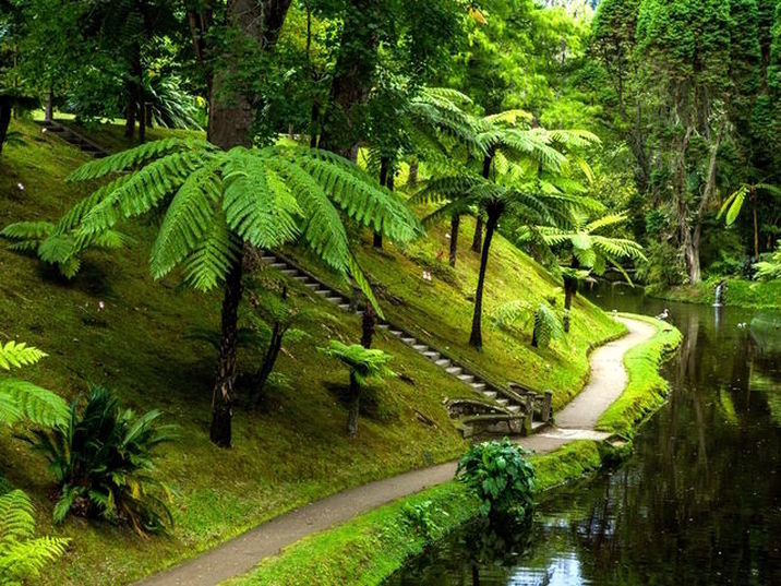 Vila Galé Collection São Miguel - Jardin botanique
