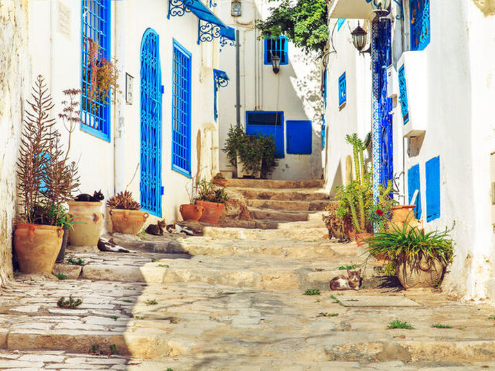 The Residence Tunis - Sidi bou said