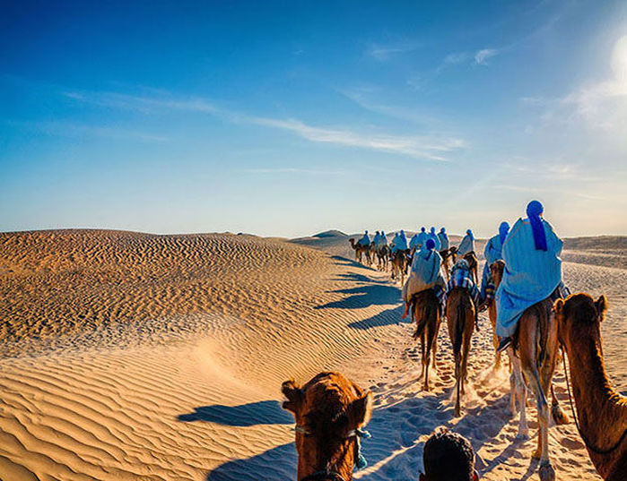 Radisson Blu Palace Resort & Thalasso Djerba - Chameaux dans le desert