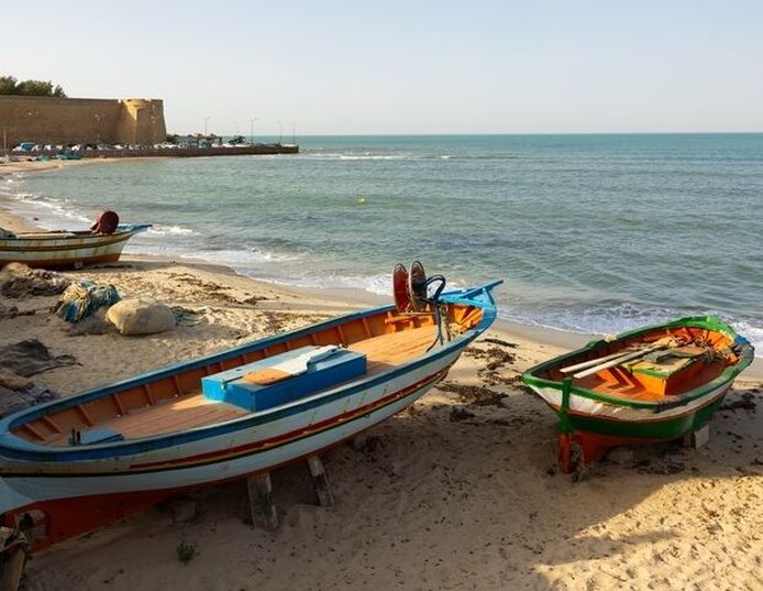 Steigenberger Marhaba Thalasso -  bateaux de peche a hammamet