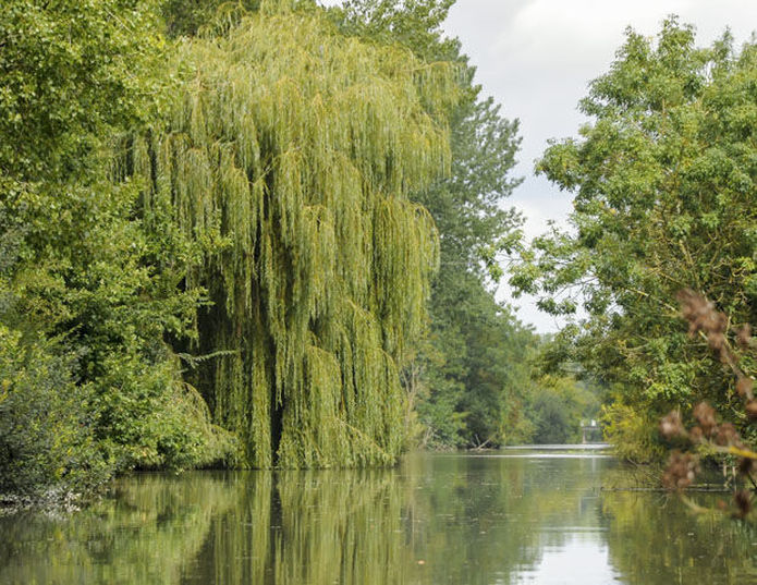 Domaine du Boisniard - Parc naturel du marais de poitevin