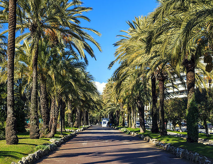 Domaine de l'Esterel - La croisette  a cannes