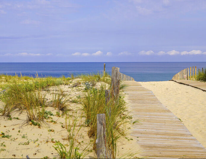 Domaine du Ferret - Plage