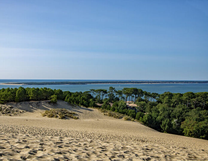 Domaine du Ferret - Bassin d arcachon