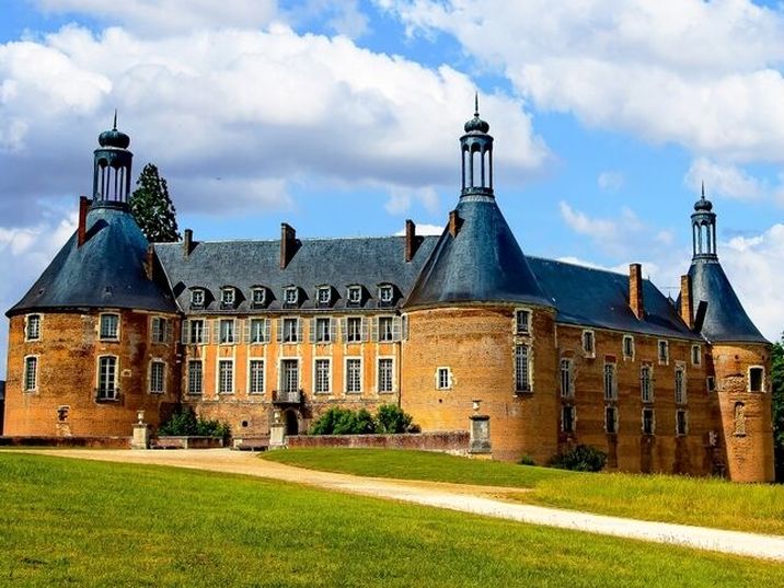 Domaine du Roncemay - Chateau de saint fargeau