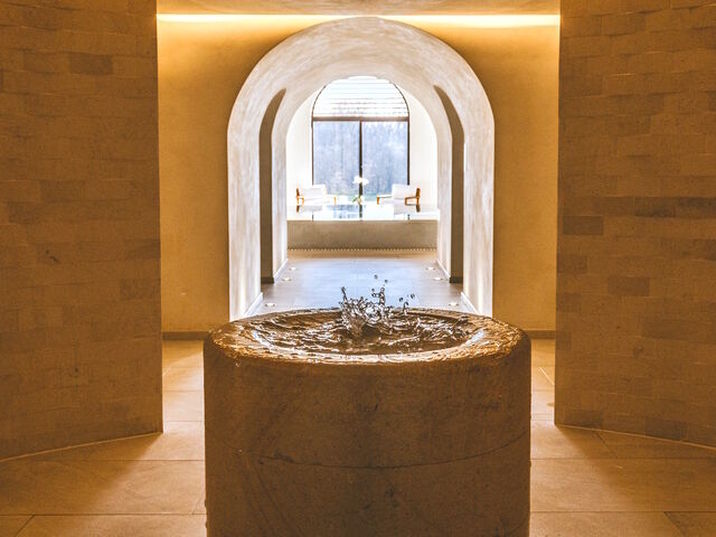 Domaine du Roncemay - Fontaine du spa