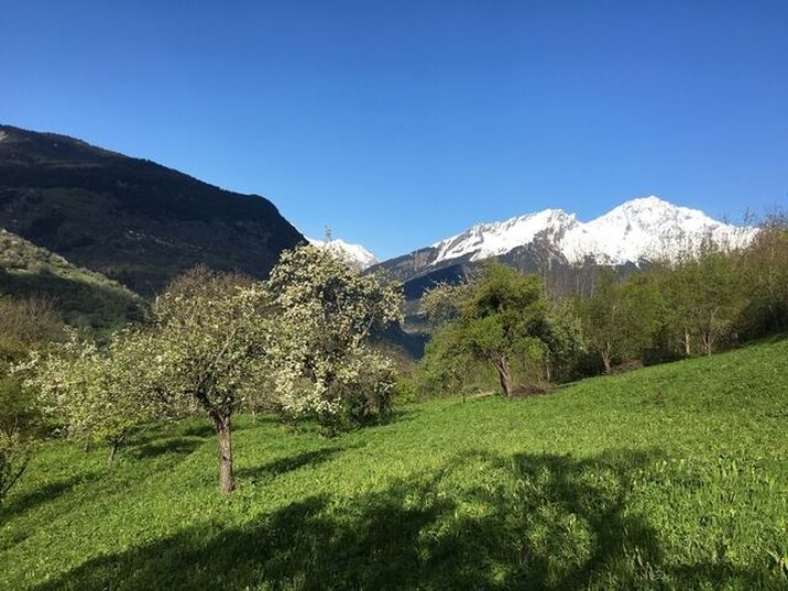 Golf Hôtel  - Alpage