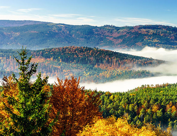 Holiday Inn Mulhouse - Paysage d alsace