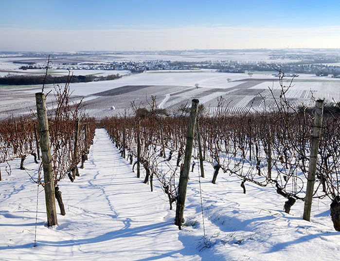 Holiday Inn Mulhouse - Paysage d alsace en hiver