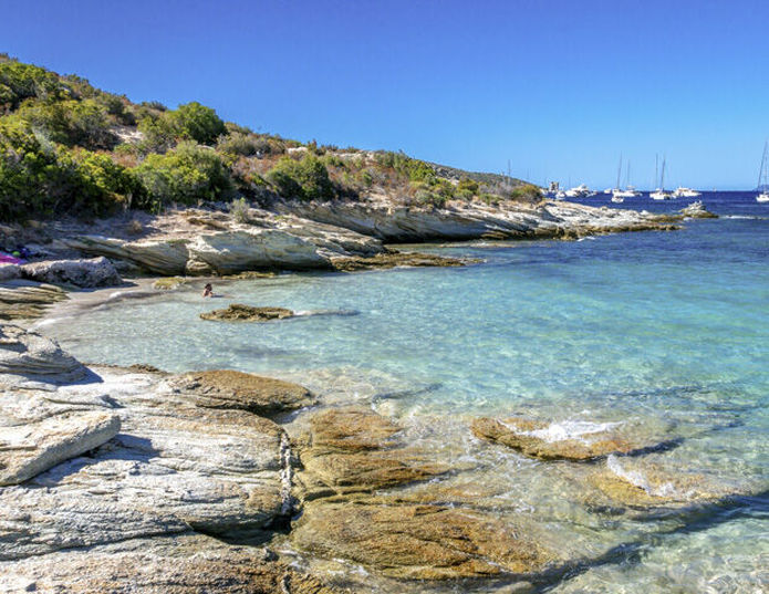 Hôtel Corsica - Calvi