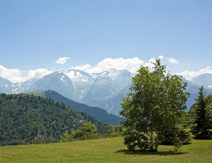 Le Pic Blanc - Alpe d huez