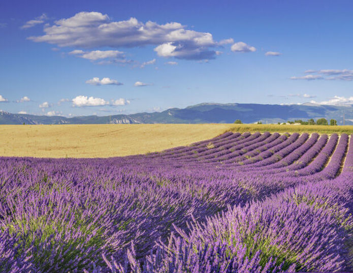 Le Refuge des Sources - Alpes de haute provence