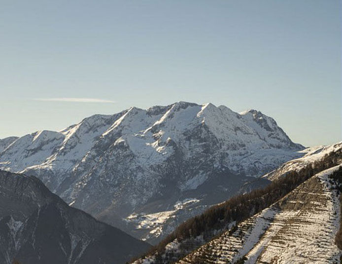 Royal Ours Blanc - Alpe d huez
