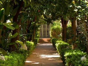 Les Jardins de la Médina
