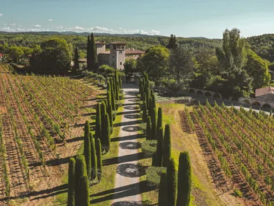 Vignes du chateau de berne