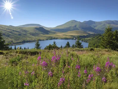 Auvergne