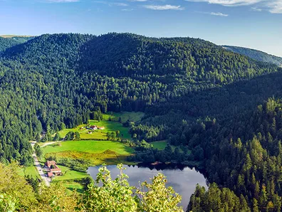 Paysage des vosges