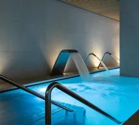 Piscine col de cygne