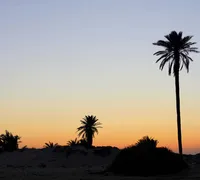 Djerba