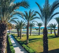 Palmeraie de l hotel