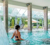 Piscine interieure col de cigne