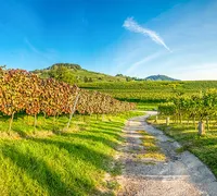 Paysage d alsace