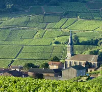 Paysage de bourgogne