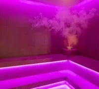 Bain vapeur