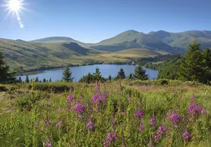 Auvergne