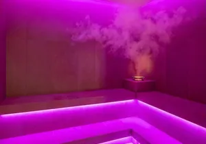 Bain vapeur