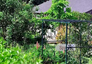 Jardin