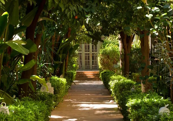 Les Jardins de la Médina