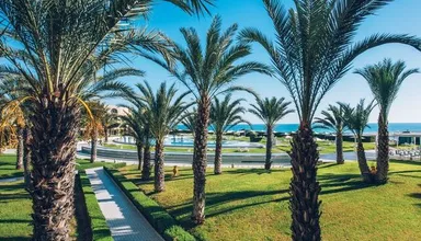 Palmeraie de l hotel