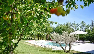 Jardin et piscine