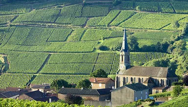 Paysage de bourgogne