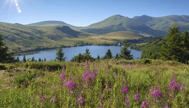 Auvergne