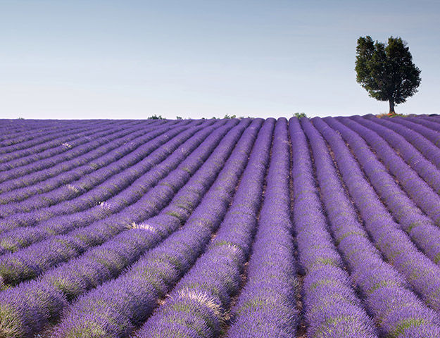 Thalasso et spa Provence-Alpes Côte-d'Azur: tous nos séjours bien-être - Villa Borghèse
