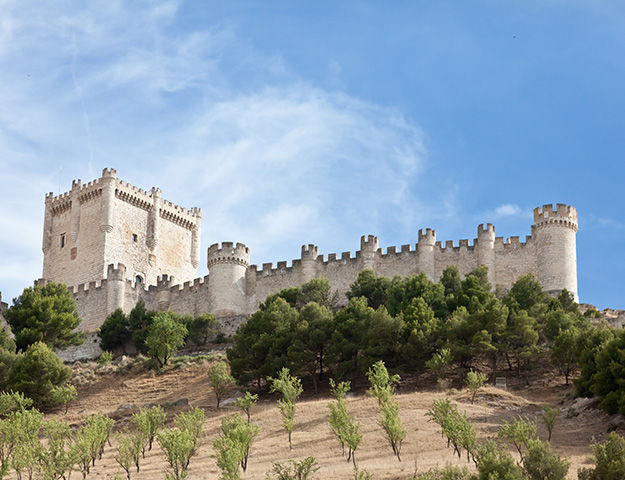 Castilla Termal Monasterio de Valbuena - Chateau de penafiel