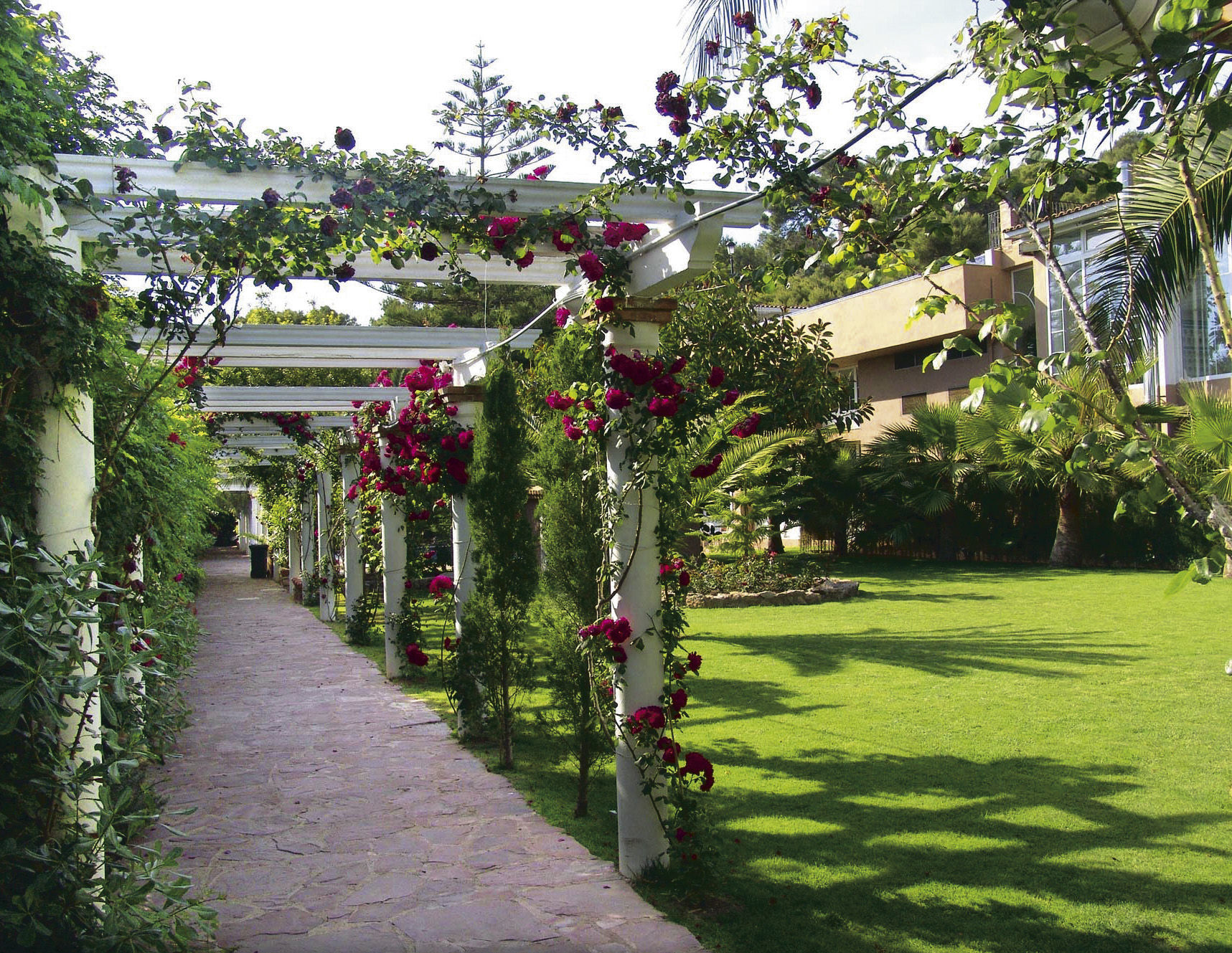 PALASIET Thalasso Clinic & Hotel - Jardins exterieurs