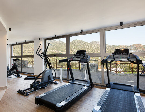 Filion Suites Resort & Spa - Salle de fitness