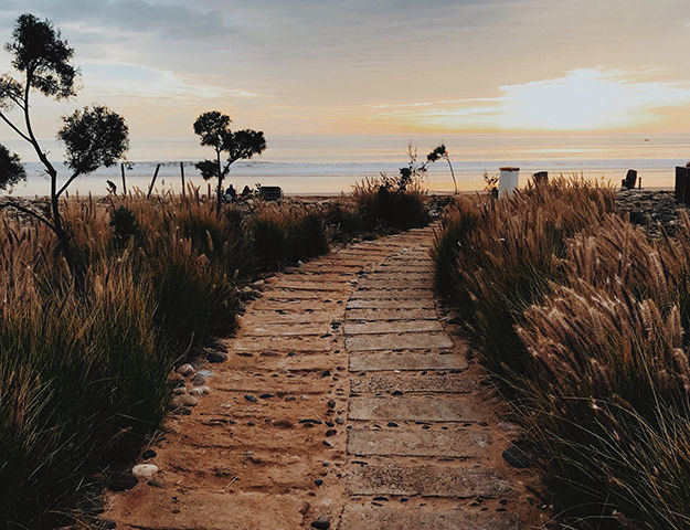 Paradis Plage Surf, Yoga & Spa Resort - Chemin plage