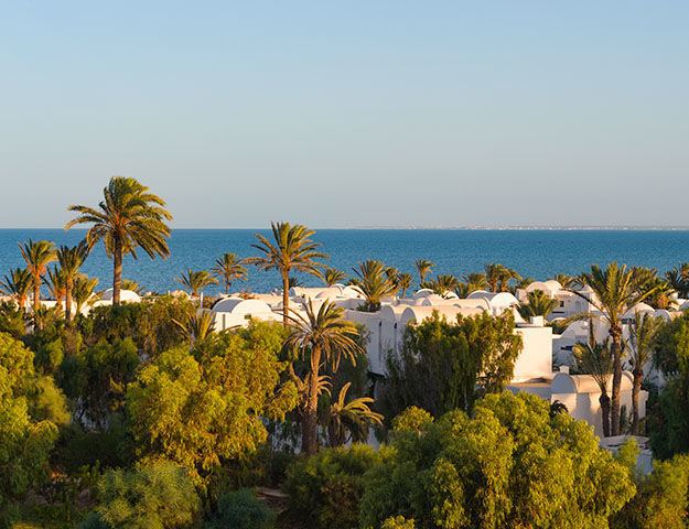 Hôtel Royal Karthago Djerba - Parc et jardin