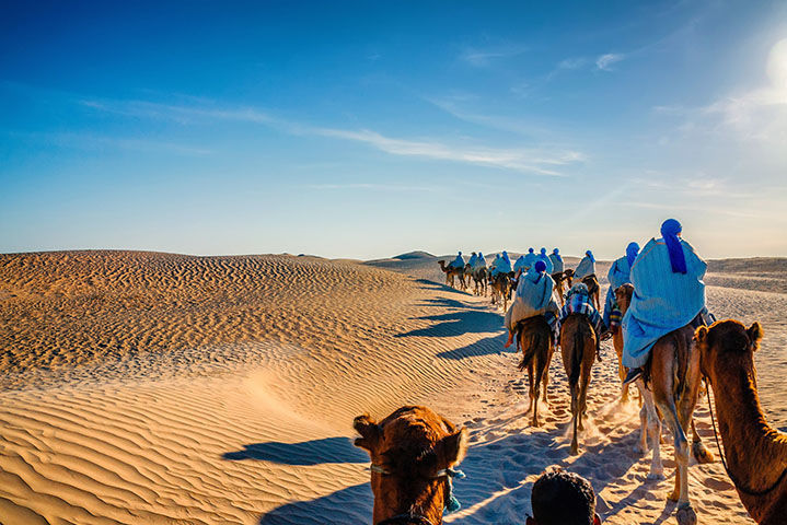 Hôtel Royal Karthago Djerba - Excursion chameau desert