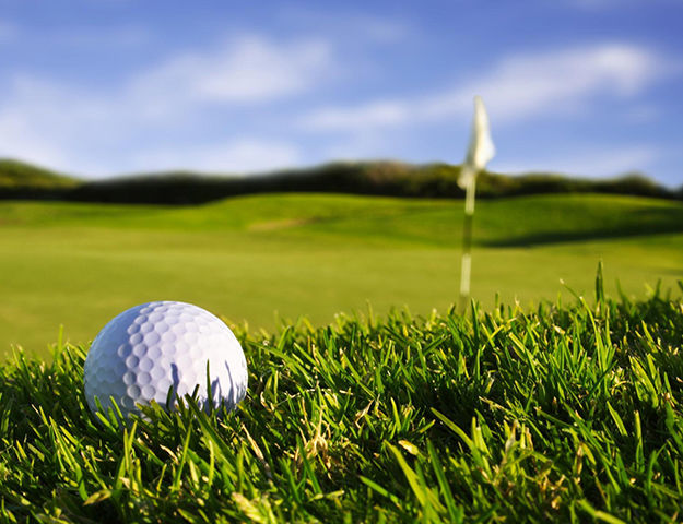 Hôtel & Spa Chassieu - Golf blue green de chassieu