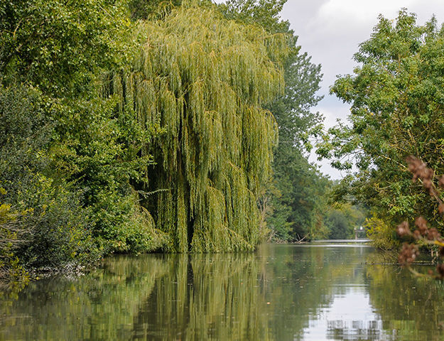 Château de Dissay - Parc naturel du marais poitevin