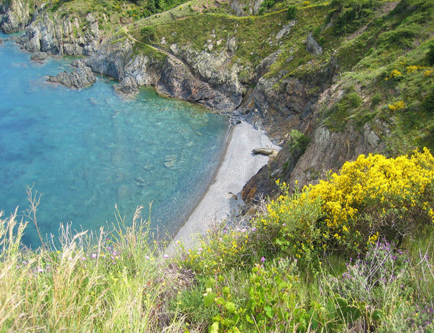 Les Bulles de Mer - Cote vermeille