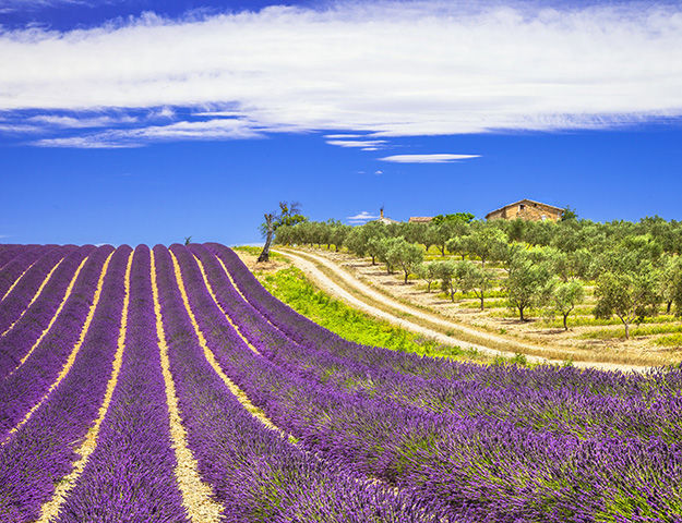 Thalasso Provence Côte d’Azur : coté Sud - Mas de la Crémaillère